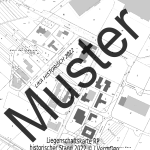 Liegenschaftskarte Standard (Ausschnitt)