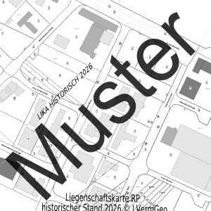 Liegenschaftskarte Standard (Ausschnitt)