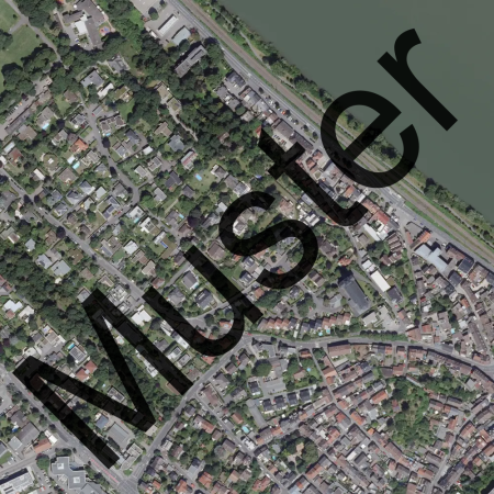 Digitale Orthophotos (historischer Stand 2024)