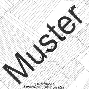 Liegenschaftskarte Standard (Ausschnitt)