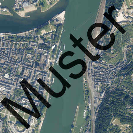 Digitale Orthophotos (historischer Stand 2021)