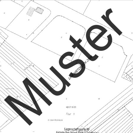 Liegenschaftskarte Standard (Ausschnitt)