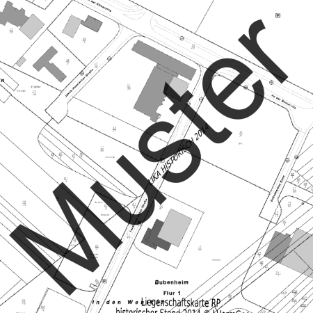 Liegenschaftskarte Standard (Ausschnitt)