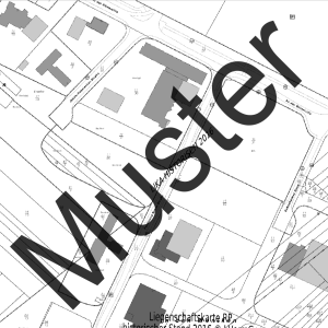 Liegenschaftskarte Standard (Ausschnitt)